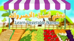 آموزش زبان عربی با ذکریا - قسمت بیست و پنجم